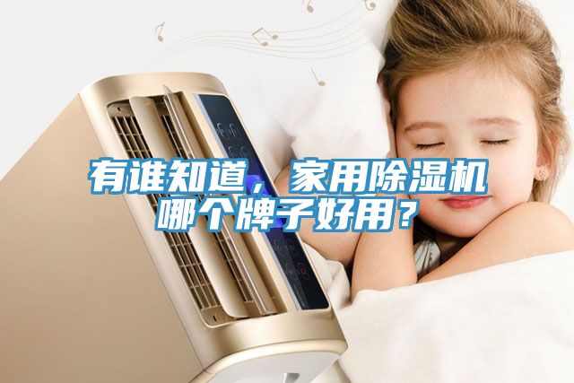 有誰知道，家用除濕機哪個牌子好用？