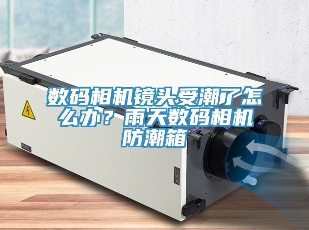 數(shù)碼相機(jī)鏡頭受潮了怎么辦？雨天數(shù)碼相機(jī)防潮箱