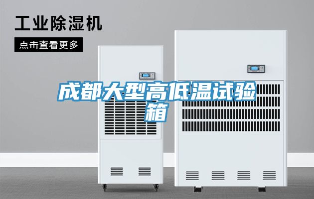 成都大型高低溫試驗(yàn)箱