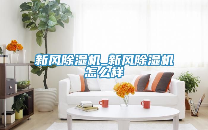 新風(fēng)除濕機(jī)_新風(fēng)除濕機(jī)怎么樣