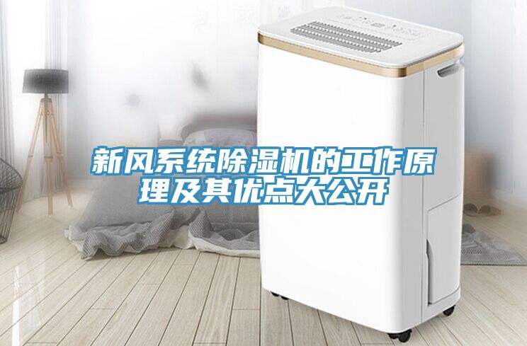 新風系統(tǒng)除濕機的工作原理及其優(yōu)點大公開