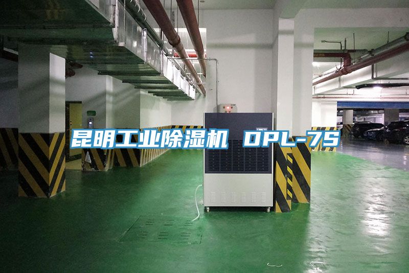昆明工業(yè)除濕機 DPL-7S
