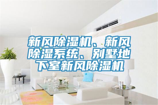 新風(fēng)除濕機(jī)、新風(fēng)除濕系統(tǒng)、別墅地下室新風(fēng)除濕機(jī)
