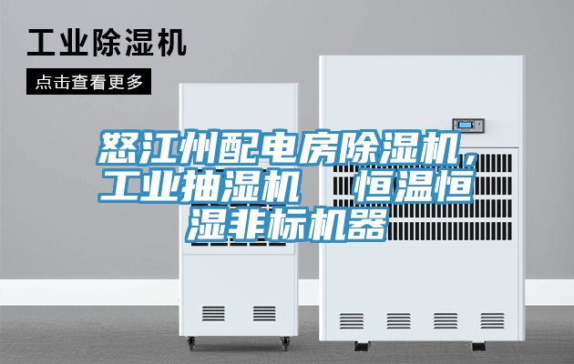 怒江州配電房除濕機(jī)，工業(yè)抽濕機(jī)  恒溫恒濕非標(biāo)機(jī)器