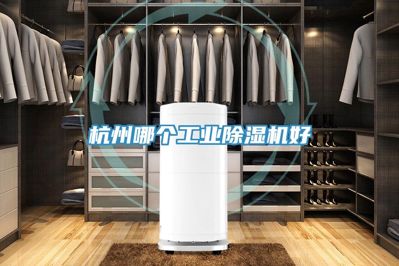 杭州哪個工業(yè)除濕機好