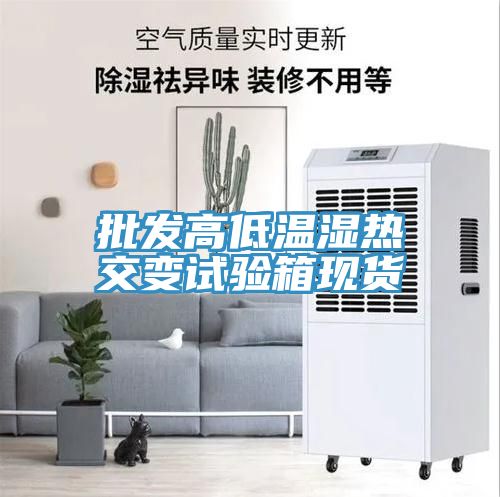 批發(fā)高低溫濕熱交變?cè)囼?yàn)箱現(xiàn)貨