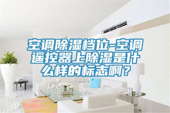 空調(diào)除濕檔位-空調(diào)遙控器上除濕是什么樣的標(biāo)志?。?/></p>
                            <p style=