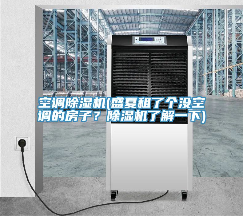 空調(diào)除濕機(jī)(盛夏租了個(gè)沒(méi)空調(diào)的房子？除濕機(jī)了解一下)