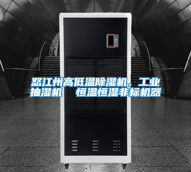 怒江州高低溫除濕機(jī)，工業(yè)抽濕機(jī)  恒溫恒濕非標(biāo)機(jī)器