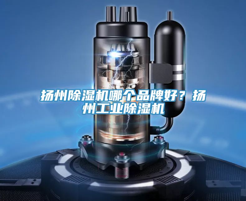 揚(yáng)州除濕機(jī)哪個(gè)品牌好？揚(yáng)州工業(yè)除濕機(jī)