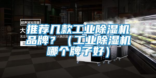 推薦幾款工業(yè)除濕機(jī)品牌？（工業(yè)除濕機(jī)哪個(gè)牌子好）
