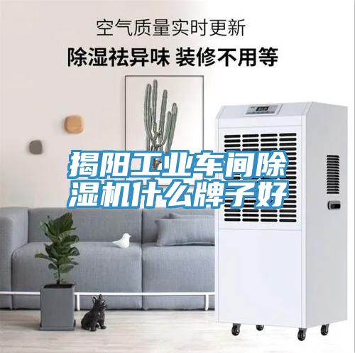 揭陽(yáng)工業(yè)車間除濕機(jī)什么牌子好