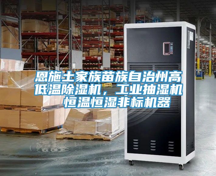 恩施土家族苗族自治州高低溫除濕機，工業(yè)抽濕機  恒溫恒濕非標機器