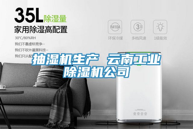 抽濕機(jī)生產(chǎn) 云南工業(yè)除濕機(jī)公司