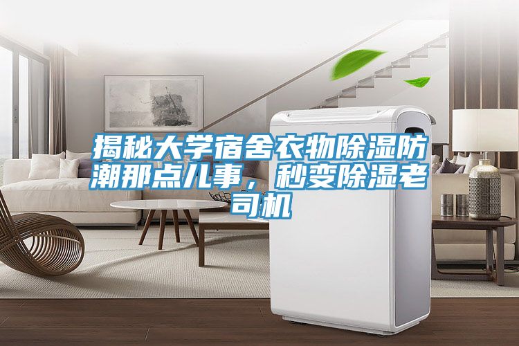 揭秘大學(xué)宿舍衣物除濕防潮那點(diǎn)兒事，秒變除濕老司機(jī)
