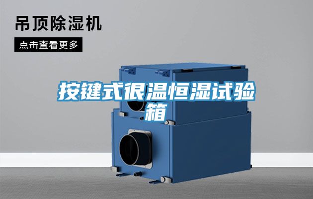 按鍵式很溫恒濕試驗(yàn)箱