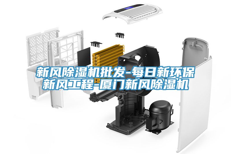新風(fēng)除濕機(jī)批發(fā)-每日新環(huán)保新風(fēng)工程-廈門新風(fēng)除濕機(jī)