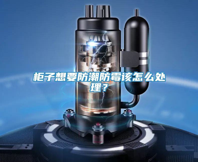 柜子想要防潮防霉該怎么處理？