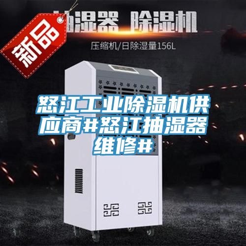 怒江工業(yè)除濕機(jī)供應(yīng)商#怒江抽濕器維修#