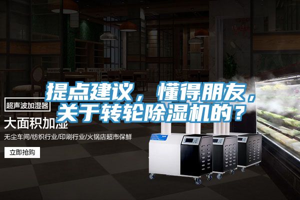 提點(diǎn)建議，懂得朋友，關(guān)于轉(zhuǎn)輪除濕機(jī)的？