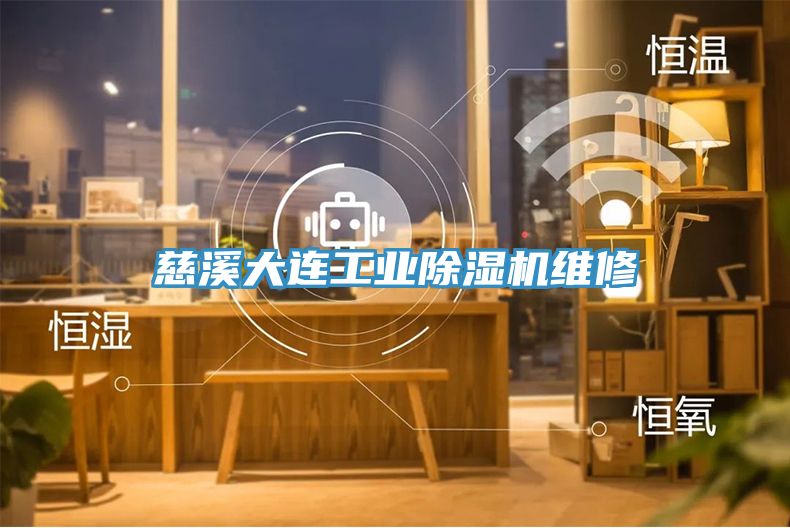 慈溪大連工業(yè)除濕機(jī)維修