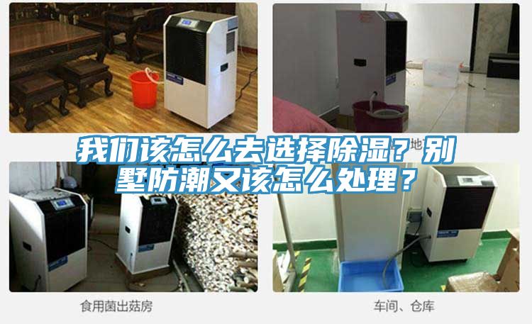 我們該怎么去選擇除濕？別墅防潮又該怎么處理？