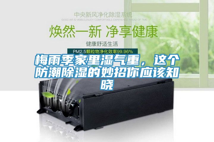 梅雨季家里濕氣重，這個(gè)防潮除濕的妙招你應(yīng)該知曉
