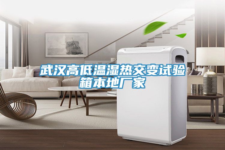 武漢高低溫濕熱交變?cè)囼?yàn)箱本地廠(chǎng)家