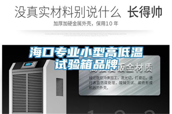 ?？趯I(yè)小型高低溫試驗(yàn)箱品牌