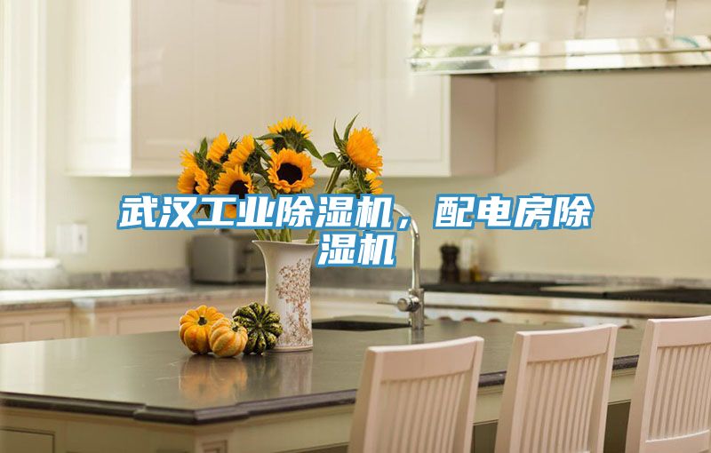 武漢工業(yè)除濕機(jī)，配電房除濕機(jī)