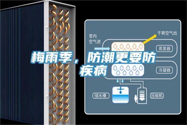 梅雨季，防潮更要防疾病