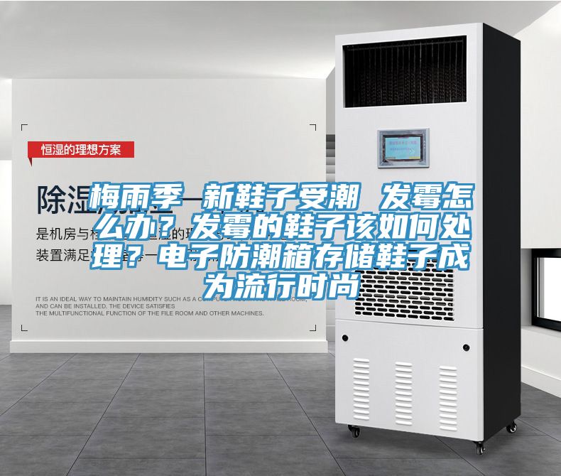 梅雨季 新鞋子受潮 發(fā)霉怎么辦？發(fā)霉的鞋子該如何處理？電子防潮箱存儲鞋子成為流行時(shí)尚