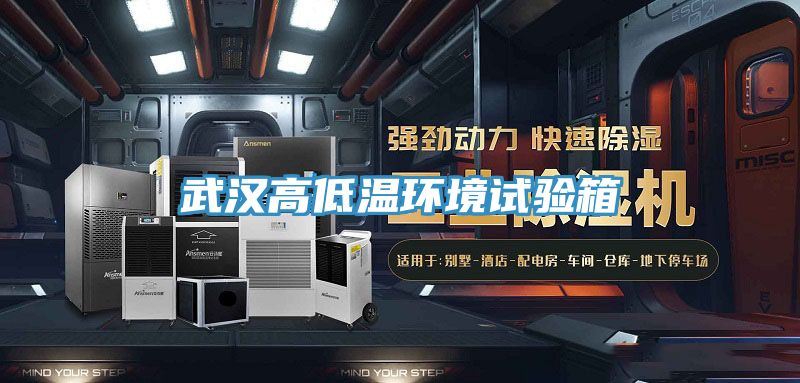 武漢高低溫環(huán)境試驗(yàn)箱