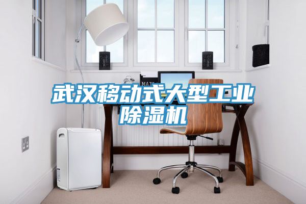 武漢移動(dòng)式大型工業(yè)除濕機(jī)