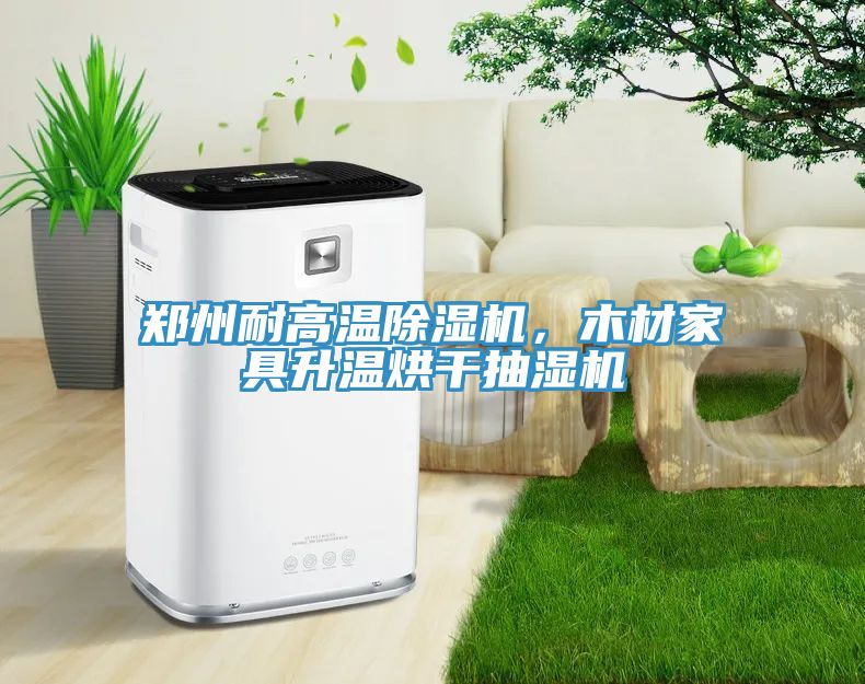 鄭州耐高溫除濕機(jī)，木材家具升溫烘干抽濕機(jī)