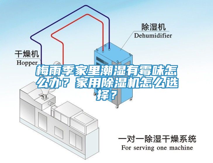 梅雨季家里潮濕有霉味怎么辦？家用除濕機(jī)怎么選擇？