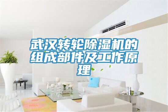 武漢轉(zhuǎn)輪除濕機(jī)的組成部件及工作原理