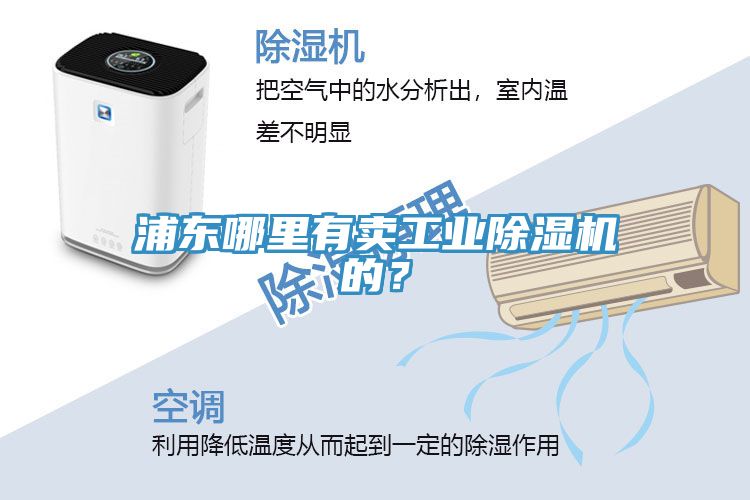 浦東哪里有賣工業(yè)除濕機的？