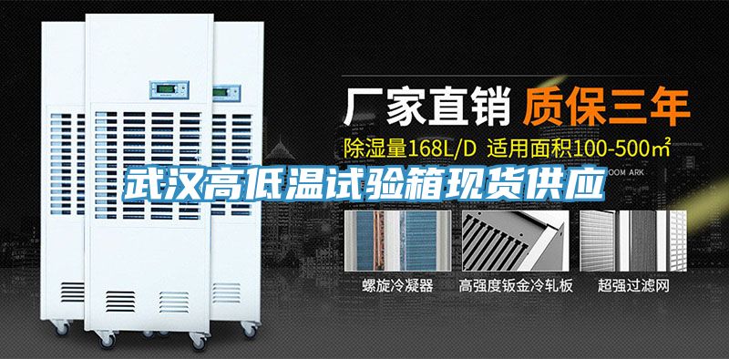 武漢高低溫試驗(yàn)箱現(xiàn)貨供應(yīng)
