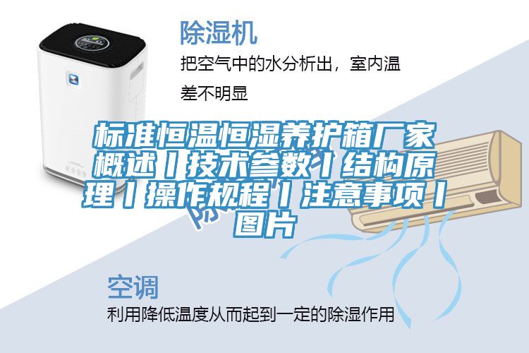標準恒溫恒濕養(yǎng)護箱廠家概述丨技術參數(shù)丨結構原理丨操作規(guī)程丨注意事項丨圖片