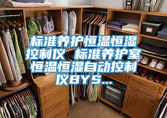 標準養(yǎng)護恒溫恒濕控制儀 標準養(yǎng)護室恒溫恒濕自動控制儀BYS...