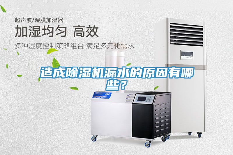 造成除濕機(jī)漏水的原因有哪些？