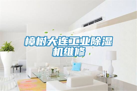 樟樹大連工業(yè)除濕機維修