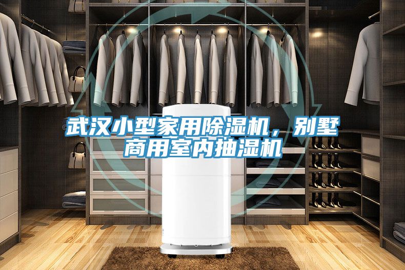 武漢小型家用除濕機，別墅商用室內(nèi)抽濕機