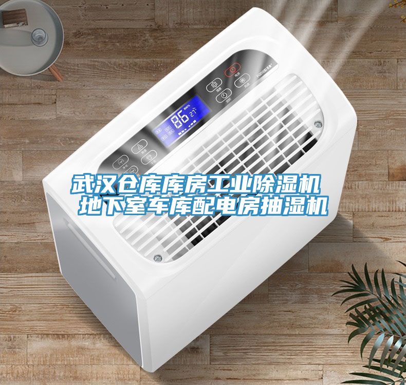 武漢倉庫庫房工業(yè)除濕機 地下室車庫配電房抽濕機