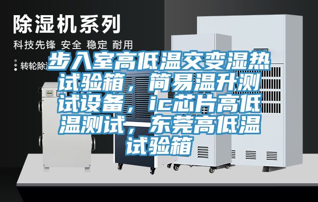 步入室高低溫交變濕熱試驗箱，簡易溫升測試設(shè)備，ic芯片高低溫測試，東莞高低溫試驗箱