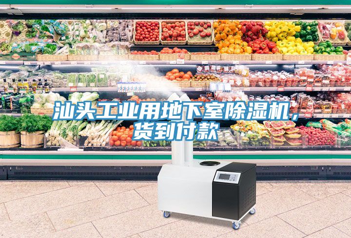 汕頭工業(yè)用地下室除濕機，貨到付款