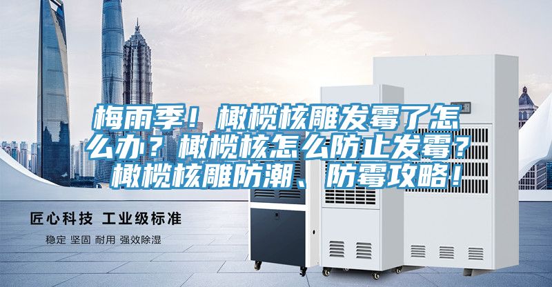 梅雨季！橄欖核雕發(fā)霉了怎么辦？橄欖核怎么防止發(fā)霉？ 橄欖核雕防潮、防霉攻略！