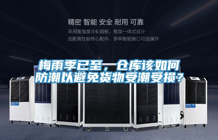 梅雨季已至，倉庫該如何防潮以避免貨物受潮受損？