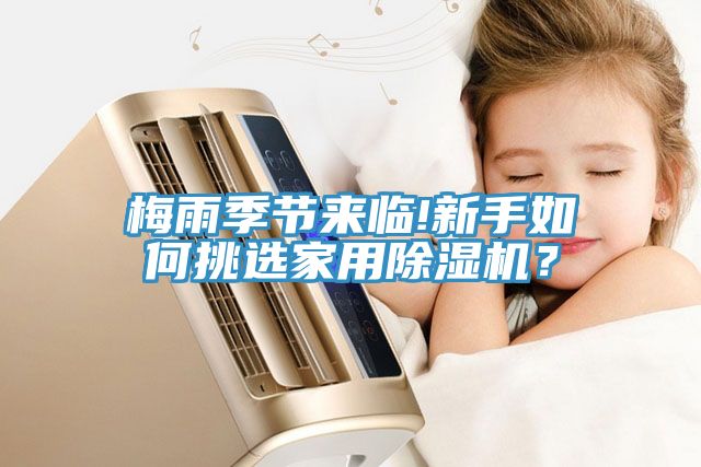 梅雨季節(jié)來臨!新手如何挑選家用除濕機(jī)？